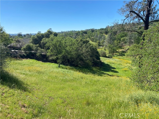 Detail Gallery Image 2 of 8 For 17 Titan Way Way, Coarsegold,  CA 93614 - – Beds | – Baths