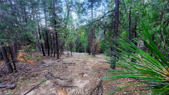 Detail Gallery Image 4 of 15 For 0 Mill Creek Road, Yreka,  CA 96097 - – Beds | – Baths