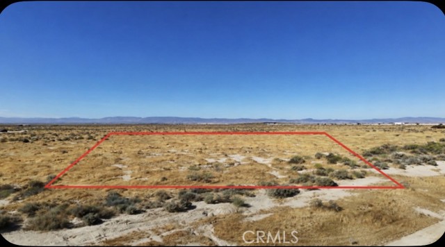 Front Image Thumbnail for CRDW26127834