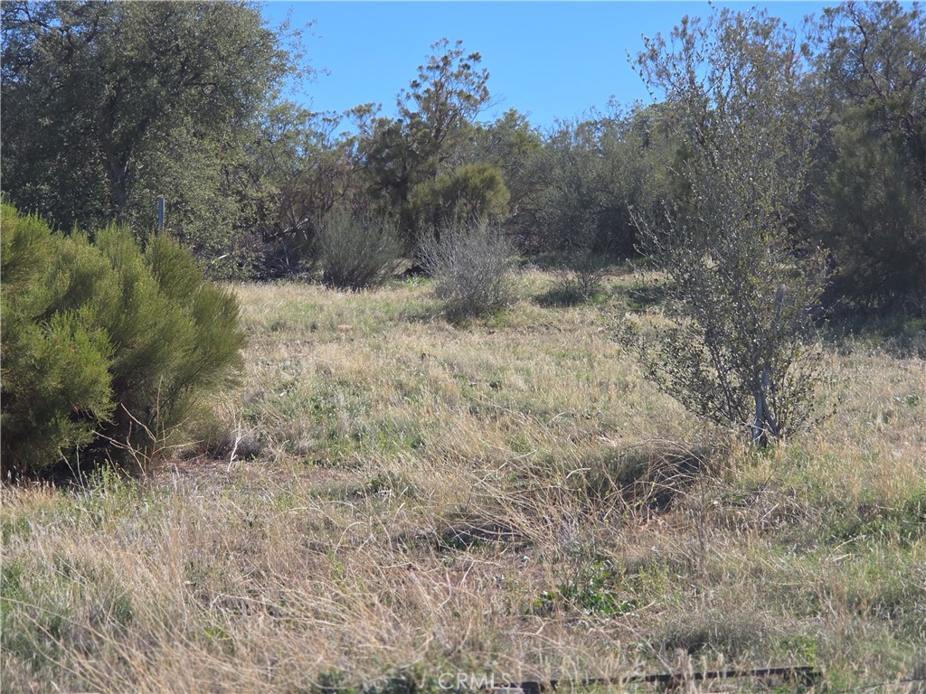 MLS #SW25248553 image #13