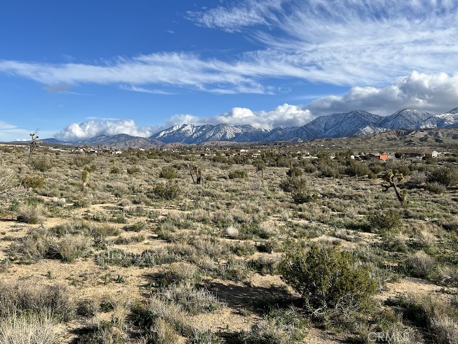 MLS #SR25254609 image #10