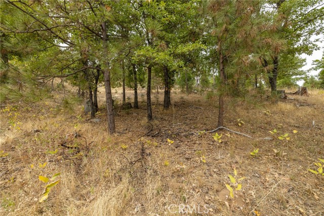 Detail Gallery Image 31 of 55 For 26 Timberview, North Fork,  CA 93643 - – Beds | – Baths