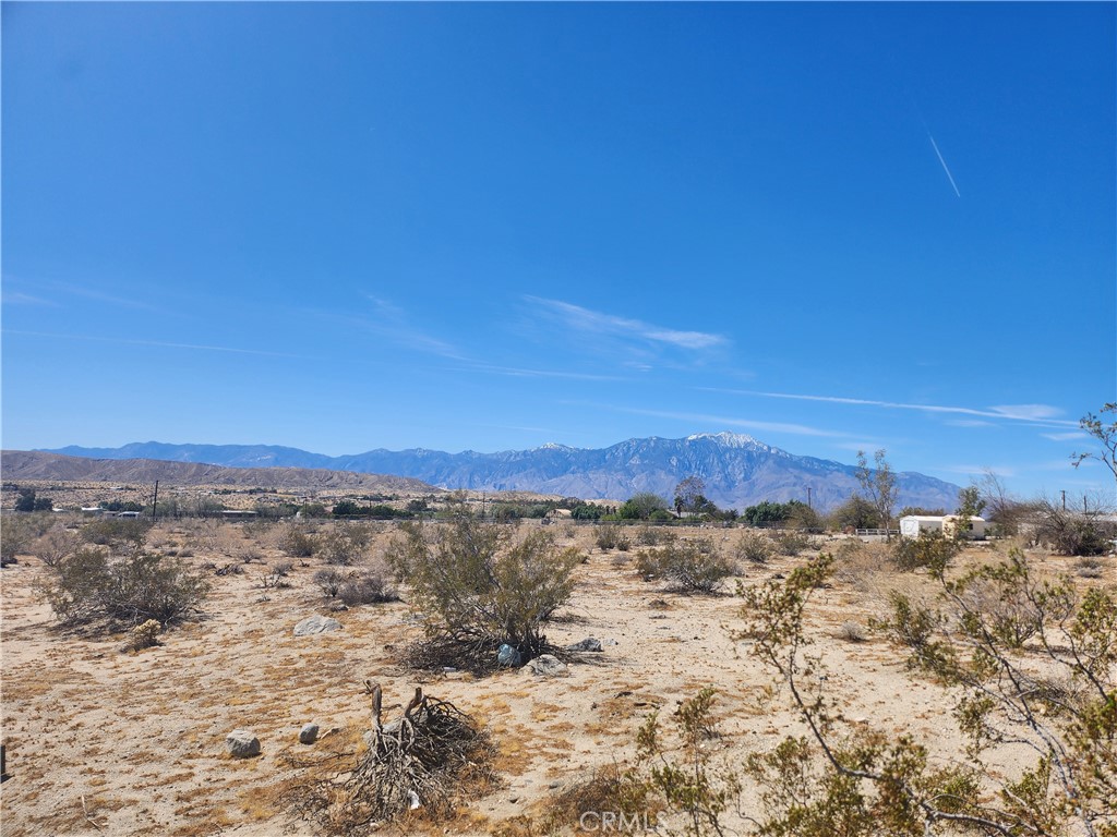 MLS #HD25065645 image #5