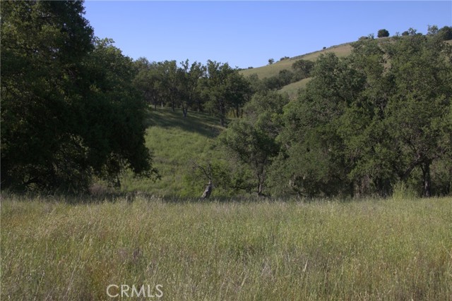 74650 Interlake Road, Bradley CA: https://media.crmls.org/medias/a2f3d609-21ff-4ba7-9874-12c394ffcae1.jpg