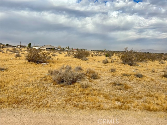 65 Kiowa, Apple Valley CA: https://media.crmls.org/medias/a2f580a5-d739-4ce0-8b2c-f61cf2e42f40.jpg