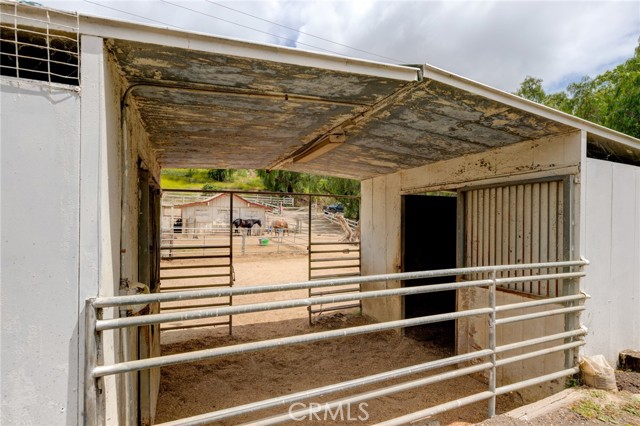    Four horses are currently in residence.