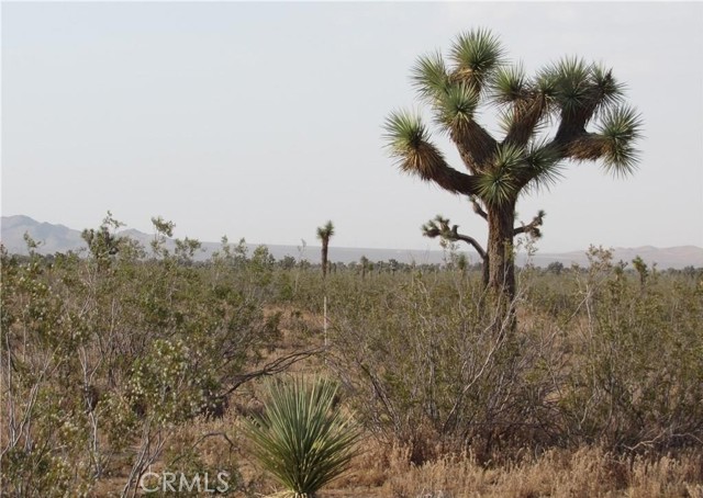 Front Image Thumbnail for CRIG26023104