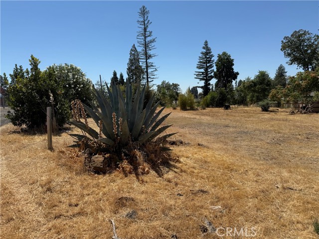 5797 Inez Way, Paradise CA: https://media.crmls.org/medias/a2fecd0c-f12e-49d6-8939-e2e07886beeb.jpg