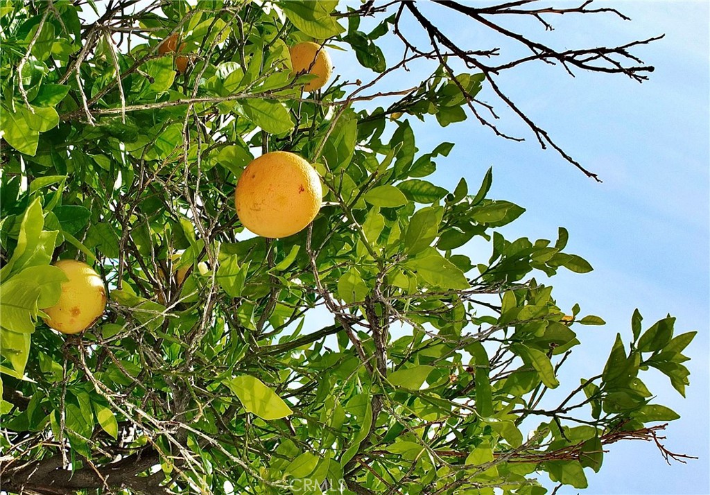 https://media.crmls.org/medias/a300c467-edcd-4d0f-ac01-9d7a8574f1f1.jpg?preset=X-Large