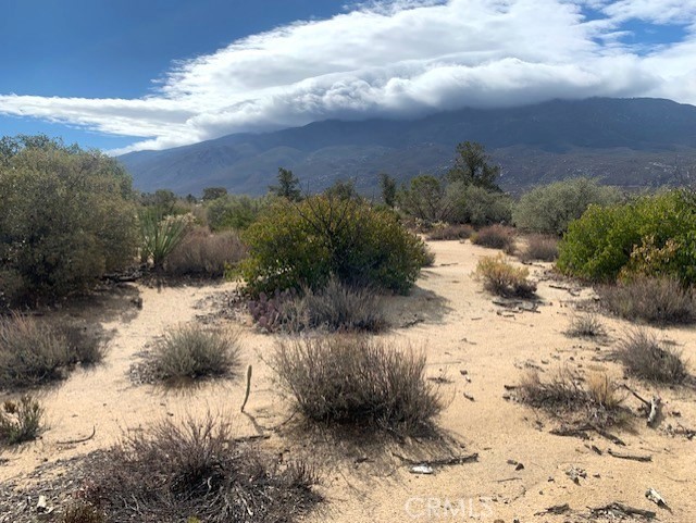 Detail Gallery Image 12 of 15 For 368 Palm Canyon Dr, Mountain Center,  CA 92561 - – Beds | – Baths