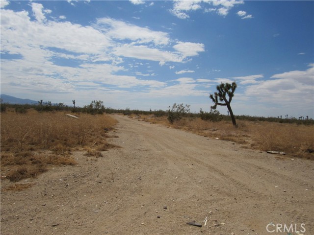 Detail Gallery Image 8 of 8 For 0 Bellflower St, Victorville,  CA 92392 - – Beds | – Baths