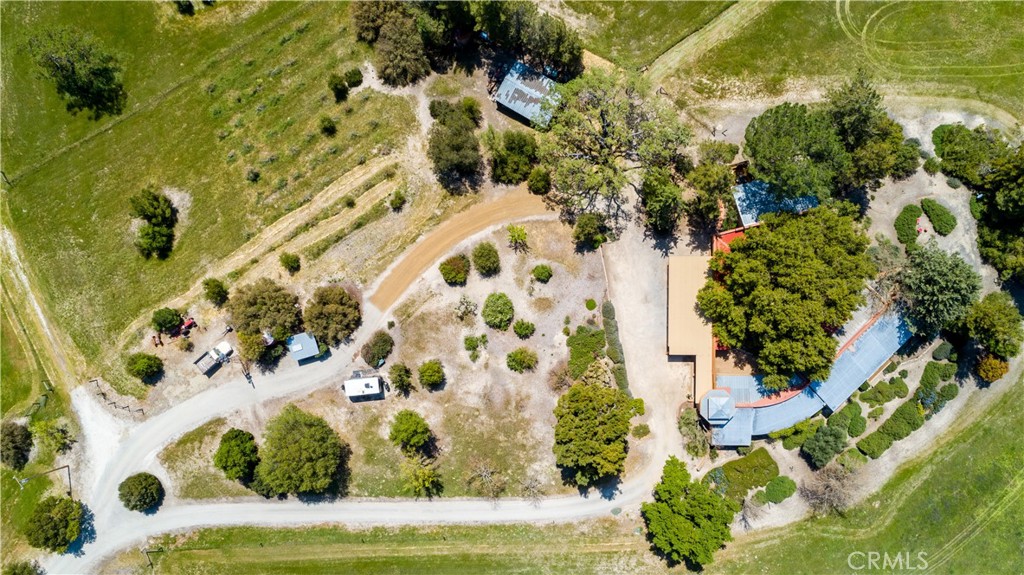 1600 Lupine Lane