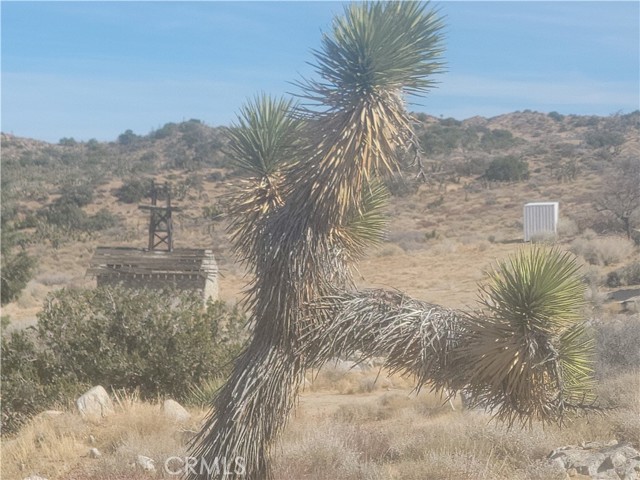 300 E Z12 Street, Llano CA: https://media.crmls.org/medias/a3081ef4-14b7-44ff-8e56-e2a34267fd0f.jpg