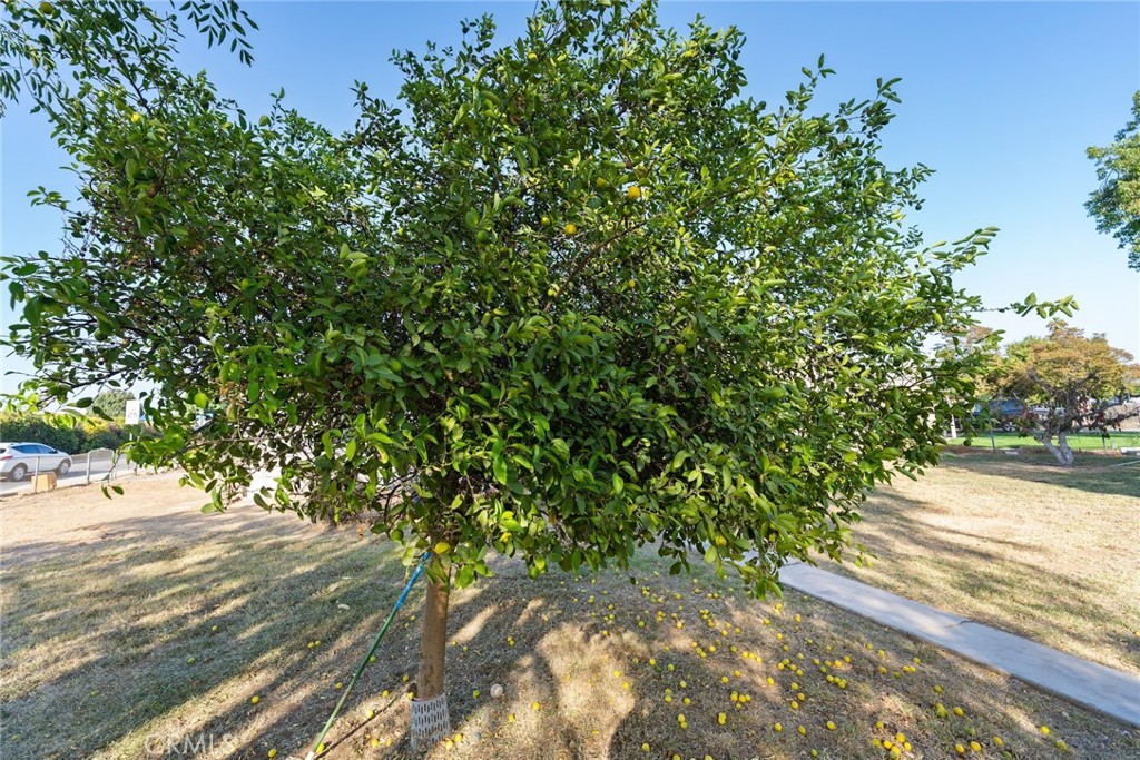 MLS #IV25232755 image #46