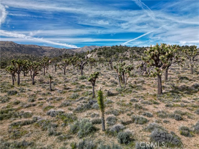 Detail Gallery Image 4 of 32 For 26 Vista Rd, Pioneertown,  CA 92356 - – Beds | – Baths