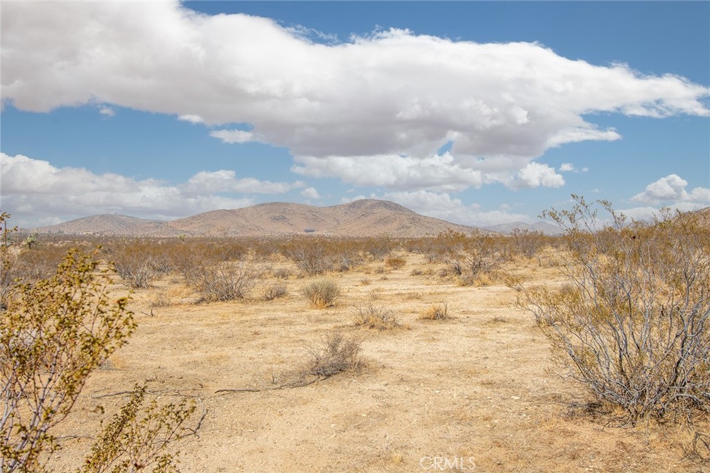 MLS #JT25183388 image #11