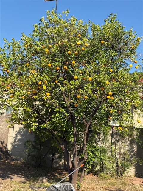 Detail Gallery Image 12 of 12 For 1188 N Hudson, Pasadena,  CA 91104 - 2 Beds | 1 Baths