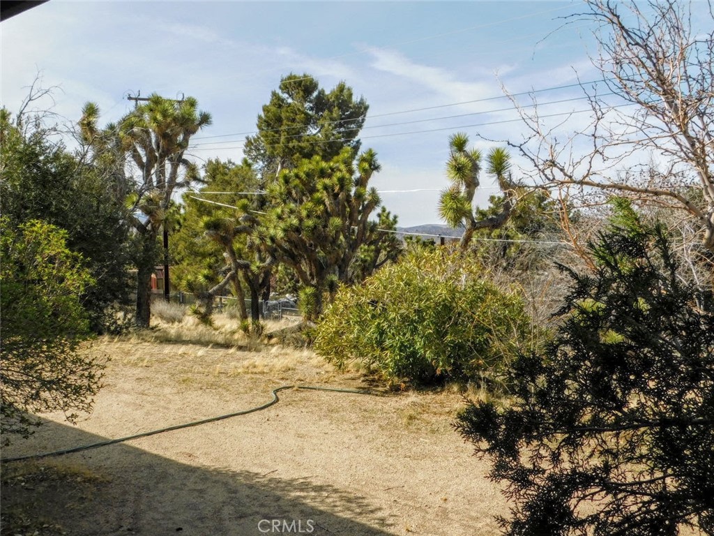MLS #JT25057913 image #14