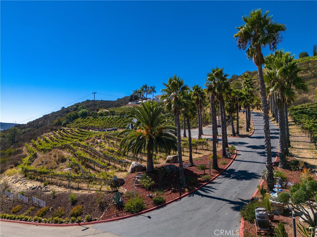 MLS #OC25023879 image #34