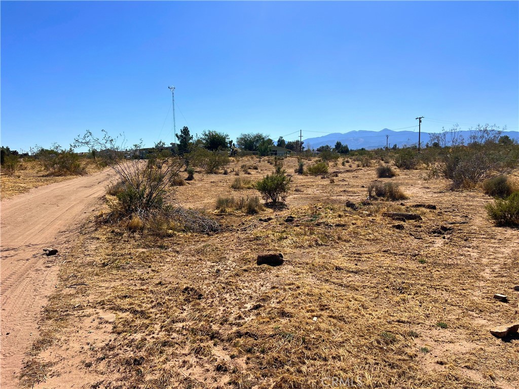 MLS #OC24174508 img 7