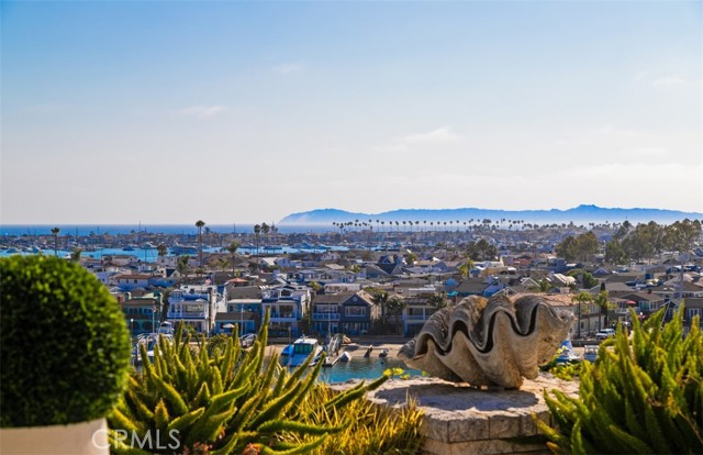 Detail Gallery Image 59 of 60 For 1535 Dolphin Terrace, Corona Del Mar,  CA 92625 - 3 Beds | 3/1 Baths
