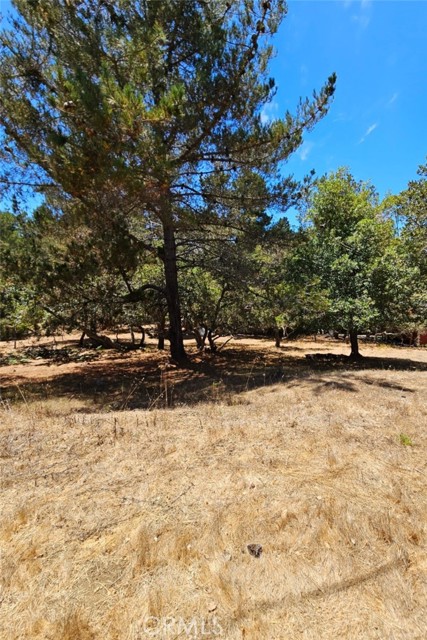 Detail Gallery Image 3 of 8 For 0 Tully Pl, Cambria,  CA 93428 - – Beds | – Baths