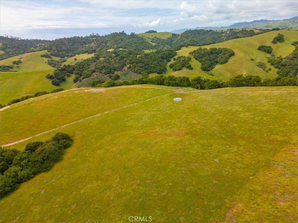 MLS #PI25041316 image #5