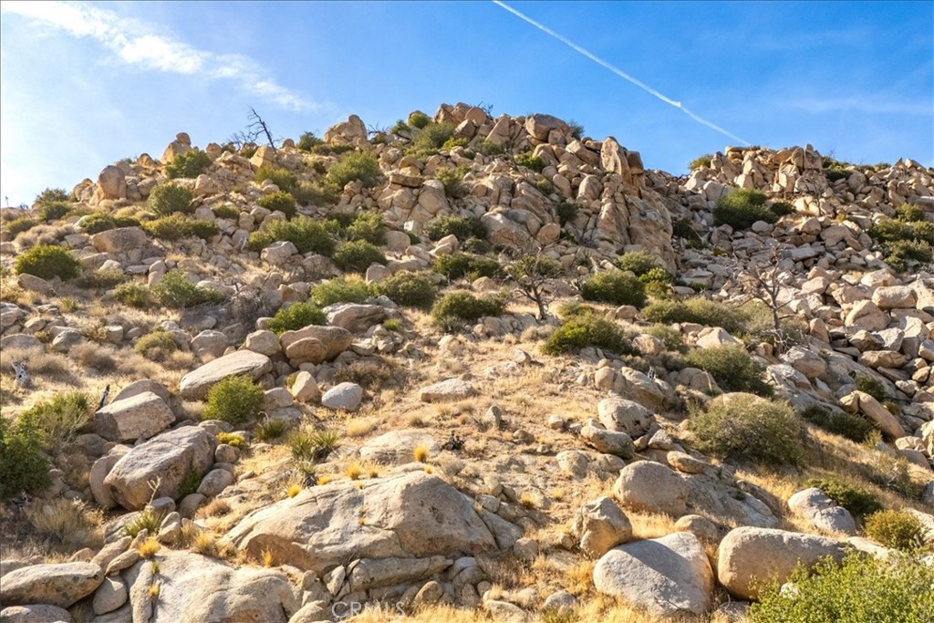 MLS #JT25254315 image #43