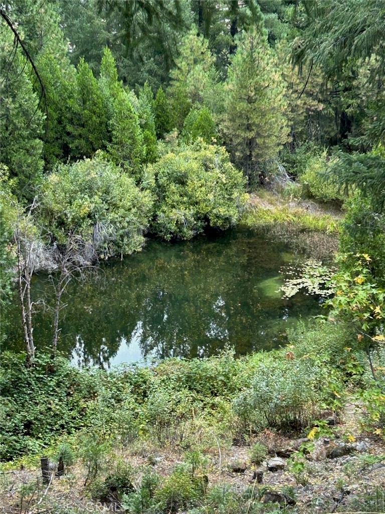 https://media.crmls.org/medias/a32b1194-7909-40ab-9401-0da4980b7fd0.jpg?preset=X-Large
