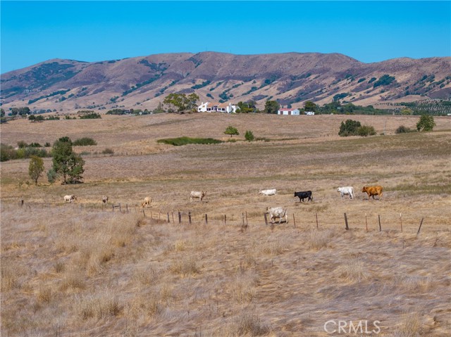 Detail Gallery Image 11 of 28 For 5385 Righetti Rd, San Luis Obispo,  CA 93401 - – Beds | – Baths