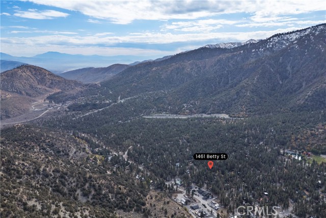 Detail Gallery Image 35 of 37 For 1461 Betty Street, Wrightwood,  CA 92397 - 2 Beds | 1 Baths