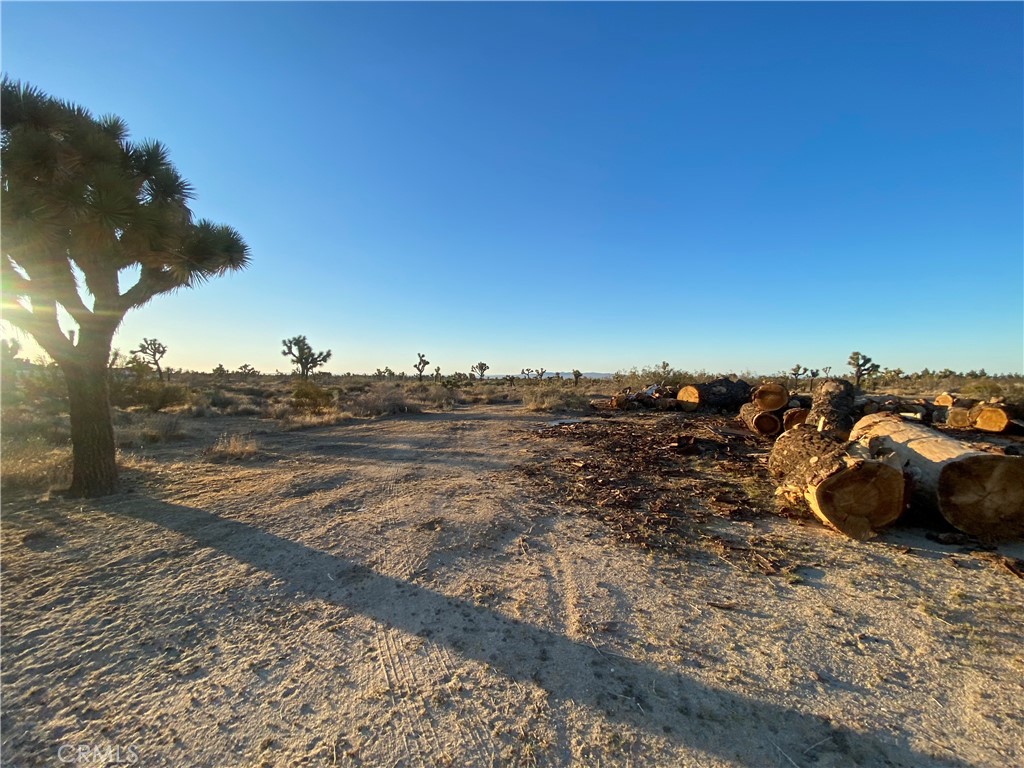 MLS #HD25093308 image #5