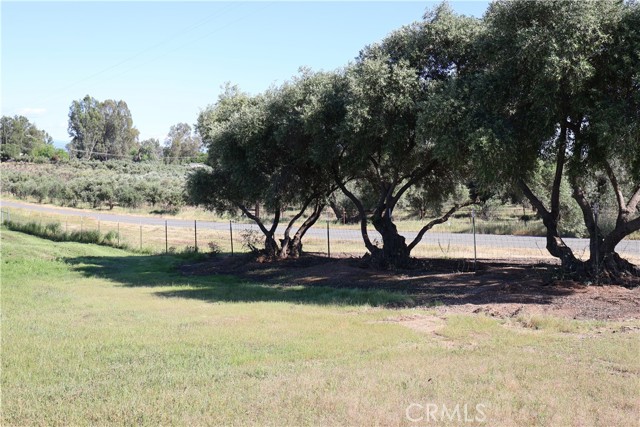 Detail Gallery Image 5 of 32 For 0 Carona Ave., Corning,  CA 96021 - – Beds | – Baths