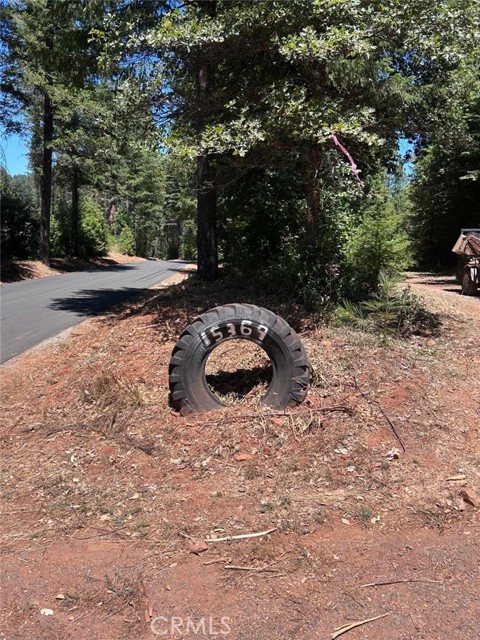 15369 Oregon Hill Road, Dobbins CA: https://media.crmls.org/medias/a33a63d5-8407-4b93-ab34-d9c4bbb51dd0.jpg