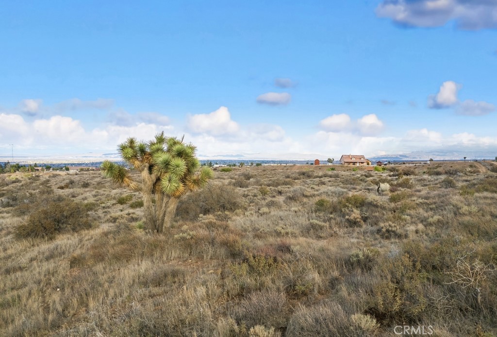 MLS #IV25256430 image #6