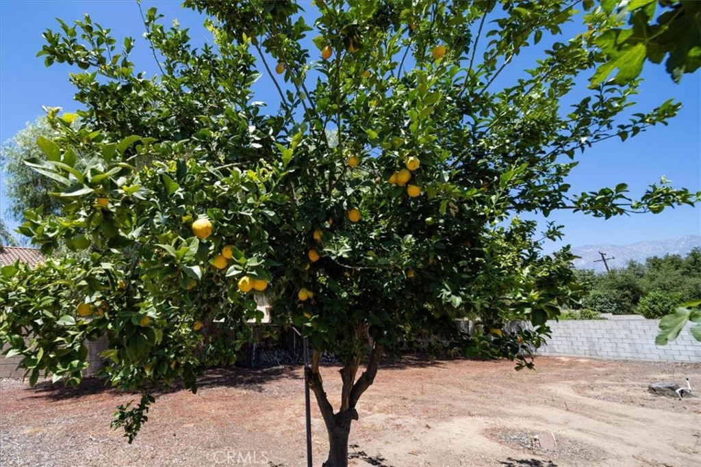 https://media.crmls.org/medias/a33db76a-18a5-48b0-b91f-5207e30f270b.jpg?preset=X-Large