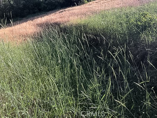 Detail Gallery Image 38 of 43 For 4743 Buffalo Gulch Rd, Midpines,  CA 95345 - – Beds | – Baths