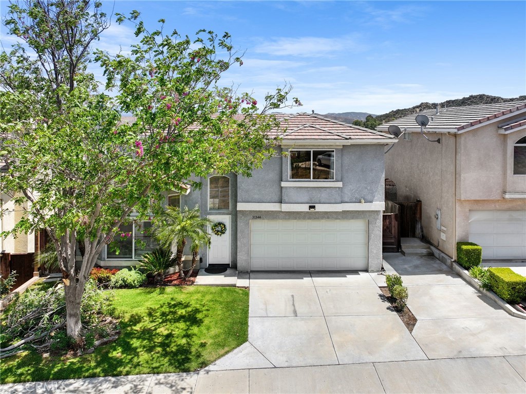 31344 Nichols Lane