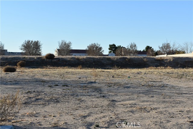 27231 Peach Tree Lane, Helendale, California 92342, ,Land,For Sale,27231 Peach Tree Lane,CRHD24006853