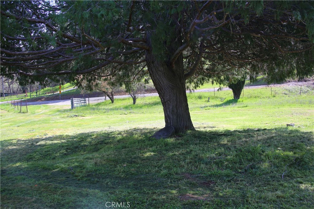 https://media.crmls.org/medias/a34c56da-e885-4b02-8585-be477ed09483.jpg?preset=X-Large