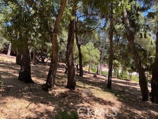 7878 Soda Bay Road, Kelseyville CA: https://media.crmls.org/medias/a3546327-d099-4a1f-a9f9-48c2af8f24ef.jpg