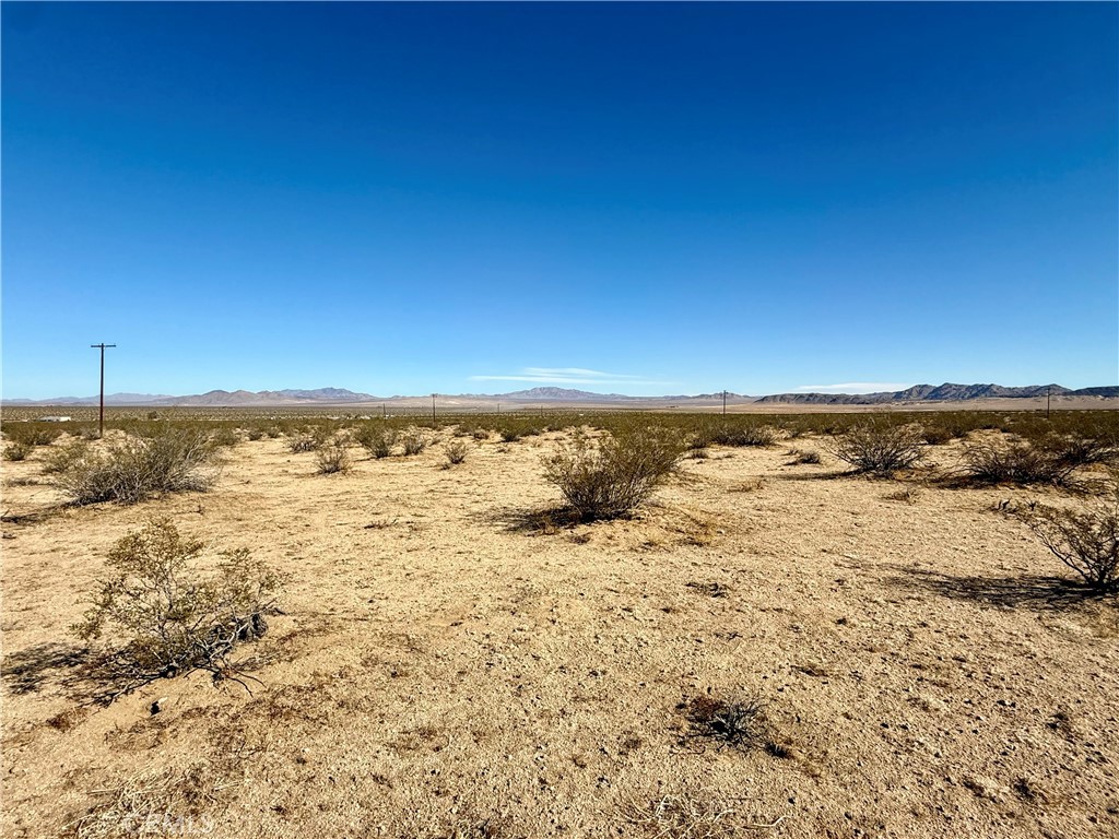 MLS #JT25208342 image #12