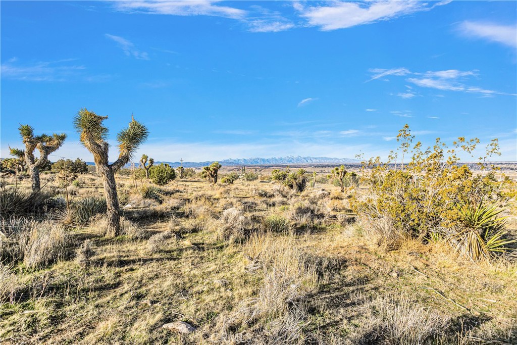 https://media.crmls.org/medias/a35c556a-73ba-4d0f-bf95-d71782dd5b8f.jpg?preset=X-Large