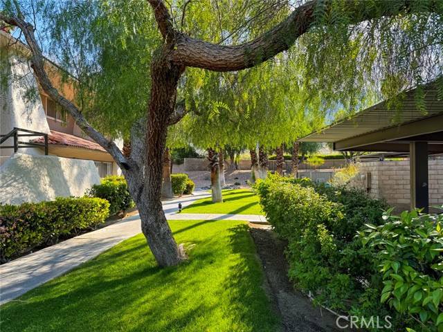 Detail Gallery Image 30 of 38 For 2825 N Los Felices Rd #212,  Palm Springs,  CA 92262 - 1 Beds | 1 Baths
