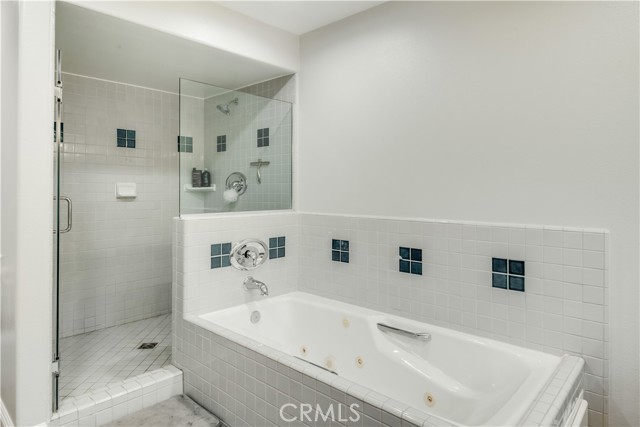 Primary Bathroom Tub & Walk In Shower