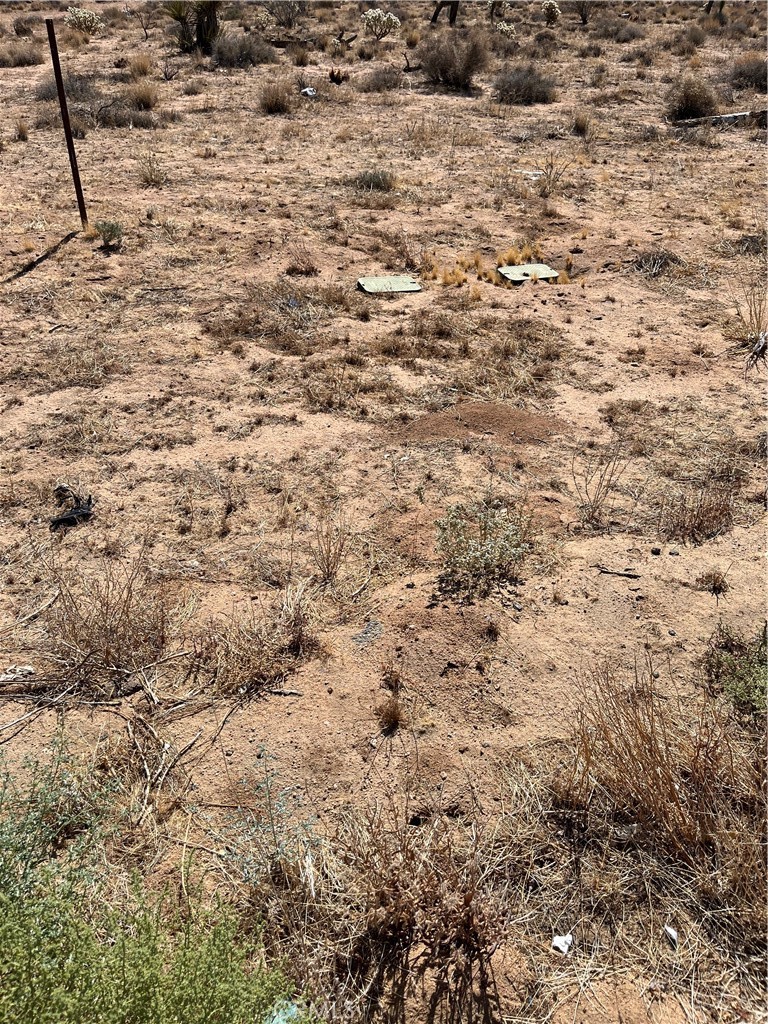 MLS #JT25190838 image #3