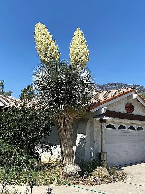 Details for 32272 Florida Avenue, Mentone, CA 92359