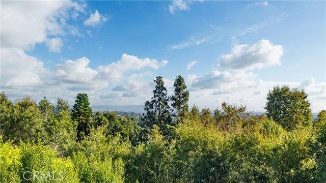 Detail Gallery Image 19 of 47 For 19672 Vista Del Valle, North Tustin,  CA 92705 - 4 Beds | 2/1 Baths