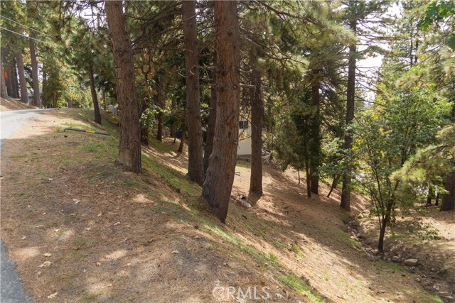 0 Circle View Drive, Running Springs, California 92382, ,Land,For Sale,0 Circle View Drive,CRRW23191615