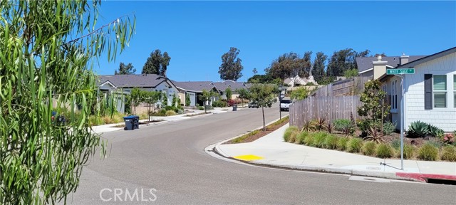 View looking north down the street from home.